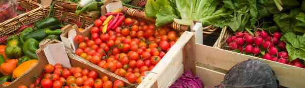 Biometrics and Food Facility Security